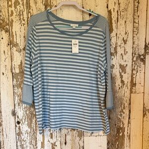 J. Jill Light Blue Striped Long Sleeve Top
